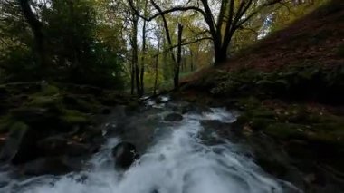 Dynamic FPV İHA videosu Kuzey Galler 'deki Snowdonia Ulusal Parkı' ndaki Llyn Cau Gölü 'ne doğru Dol Idris Dağı deresine çok yakın uçuyor. Engebeli doğa, su akışı ve insansız hava aracı pilotluğunu ön plana çıkarıyor..