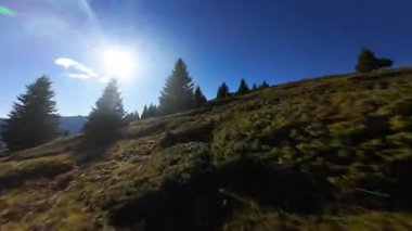 Güneşli bir çam ormanında, dağ yamacında hızla uçan ilk kişi, İtalyan Alpleri 'ndeki güzel açık bir günde, Dolomite Dağları' nın büyüleyici panoramik manzarasını gözler önüne seriyor.