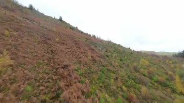 Dik, engebeli bir dağ yamacında süzülen hızlı bir insansız hava aracının ilk görüntüsü renkli bir sonbahar vadisinde canlı yapraklar ve çam ağaçlarıyla dolambaçlı bir asfalt yolu ortaya çıkarıyor.