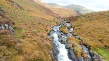 Fpv İHA 'sı alçaktan ve hızlı uçuyor, kayalık bir dere boyunca, dağdan aşağı yuvarlanıyor, engin, tepelik bir sonbahar gününde etrafını saran altın ve yeşil otlarla çevrili.