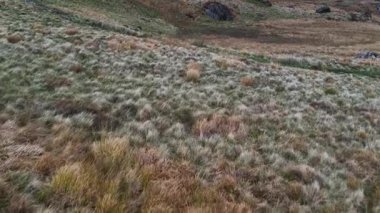 Issız bir bozkırda rüzgarlı otlardan başlayan dramatik hava tavası engin ve engebeli bir dağ sırasını ortaya çıkarmak için eğildi bulutlu bir gökyüzünün alçak bulutlarında kayboluyor.