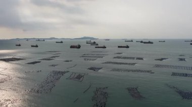 Sersemletici hava perspektifi deniz yüzeyinde yüzen şamandıraları olan geniş istiridye çiftliklerini gözler önüne sererken, büyük konteyner ve kargo gemileri bulutlu bir gökyüzünün altında körfezde geziniyorlar.