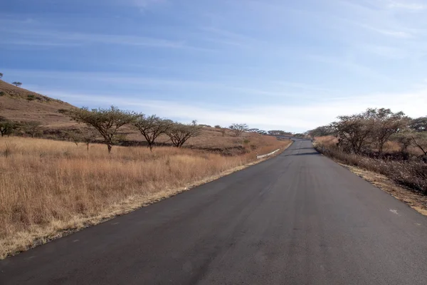 Nouvelle route d'asphalte bordée d'arbres épineux, Afrique du Sud — Photo