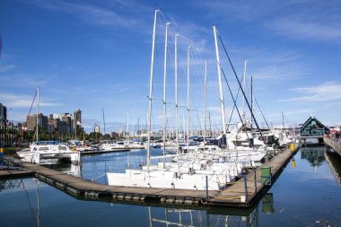 Durban Harbor Wilsons wharf adlı Yatlar demirli