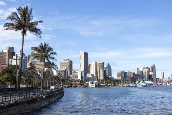 Palm stromy přístav a panorama města Durban — Stock fotografie