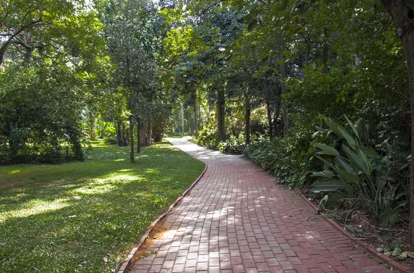 Paved red brick walkway leading into botanical Landscape — Stock Photo, Image