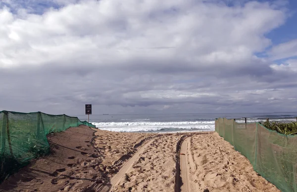 Green Shade Netting on Beach Access Area — Stock Photo, Image