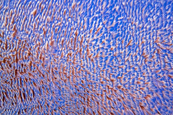 Абстрактная текстура на грубой пушистой поверхности — стоковое фото