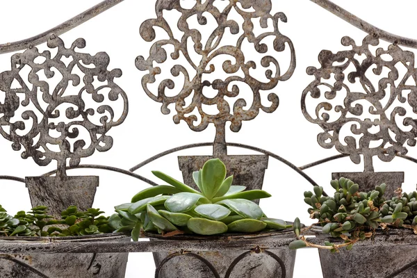 Front View Closeup of Vintage Ornate Wrought  Iron Bench — Stock Photo, Image