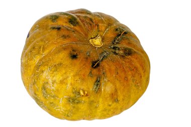 Parlak olgun kabak işaretleri ve çizikler ile