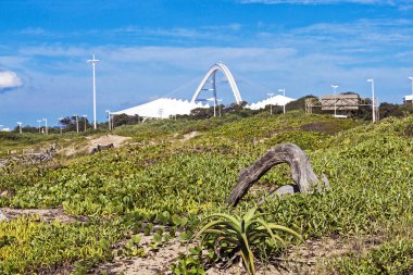 Dalgaların karaya attığı odun Mirrowing stadyum mimarisi içinde geçmiş şekiller