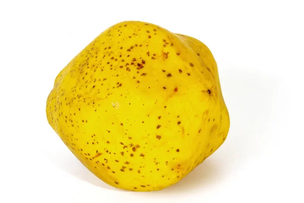 Ізольовані домашні вирощені жовті плямисті папайї — стокове фото