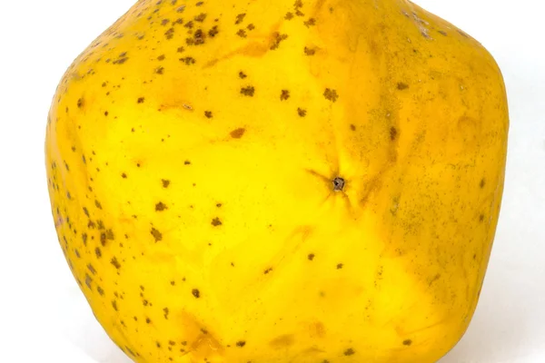 Close up of Home Grown Yellow Speckled Papaya — Stock Photo, Image