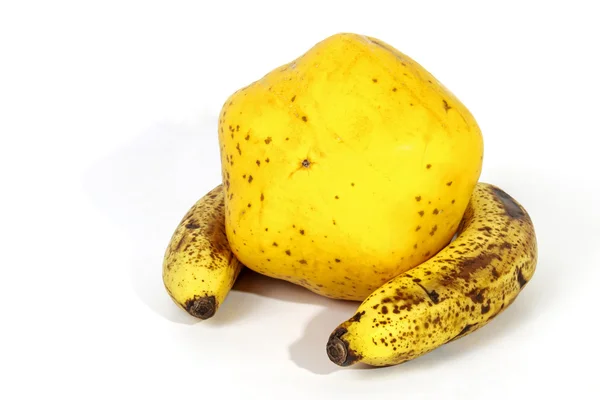 Żółty Paw Paw otoczonych przez dwa dojrzałe banany nakrapiane — Zdjęcie stockowe