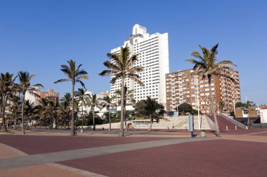  Palmiye ağaçları Golden Mile şehir manzarası Durban karşı