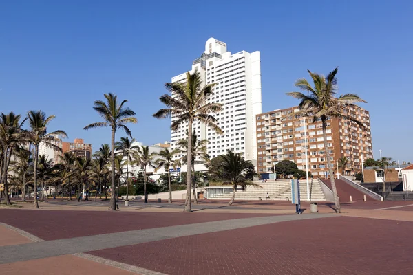 Palm Trees  Against Golden Mile City Skyline in Durban — Stock Photo, Image