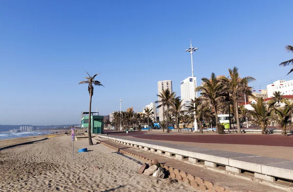 Palmy plażowe i promenada przeciw panoramom miasta — Zdjęcie stockowe