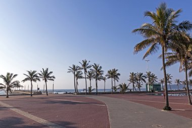  Paved Promenade Palm Trees  Pier and Ocean clipart