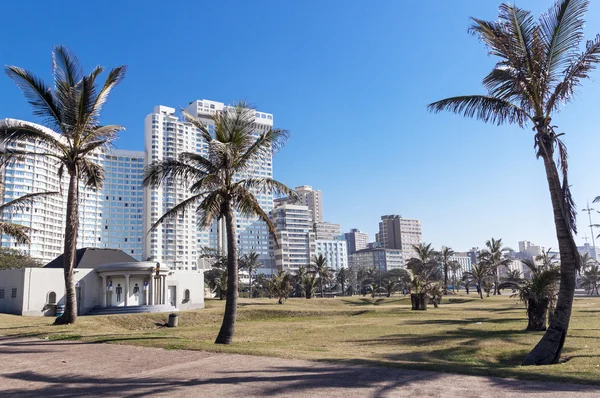 Palm bomen en grasvelden tegen de skyline van de stad — Stockfoto