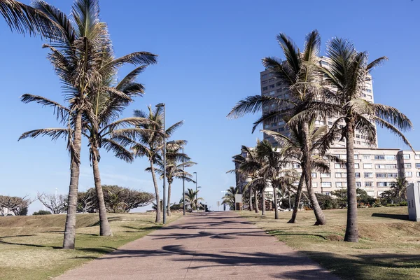 Palmeras y pasarela pavimentada conducen hacia el complejo residencial —  Fotos de Stock