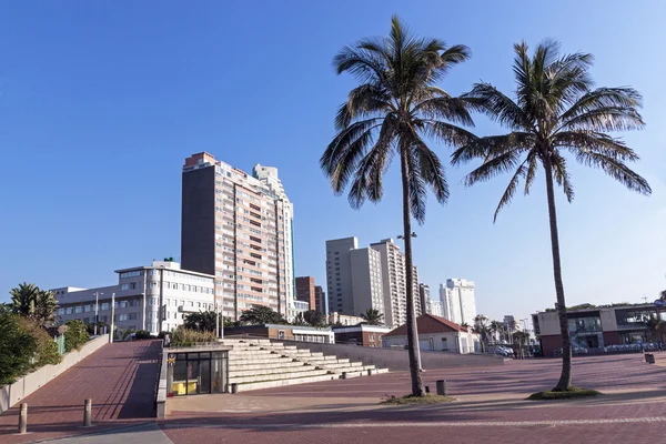 Boş Promenade ve beton terası palmiye ağaçlarının — Stok fotoğraf