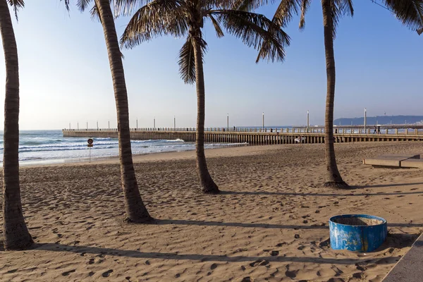Пальмовые деревья против пустого пляжного моря и бетонного пира — стоковое фото