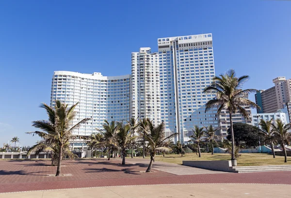 Paved Promenade and Palm Trees Against City Skyline — Stock Photo, Image