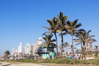  İnsanlar Promenade palmiye ağaçları şehir manzarası karşı arkasında yürüyüş