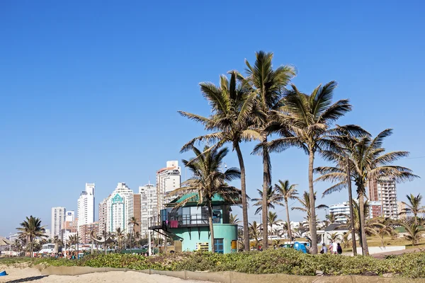 La gente cammina sul lungomare dietro le palme contro lo skyline della città — Foto Stock