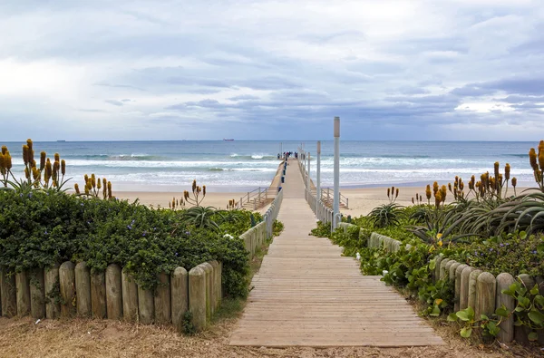 Ingresso in legno sul molo rivestito con Aloes arancione — Foto Stock