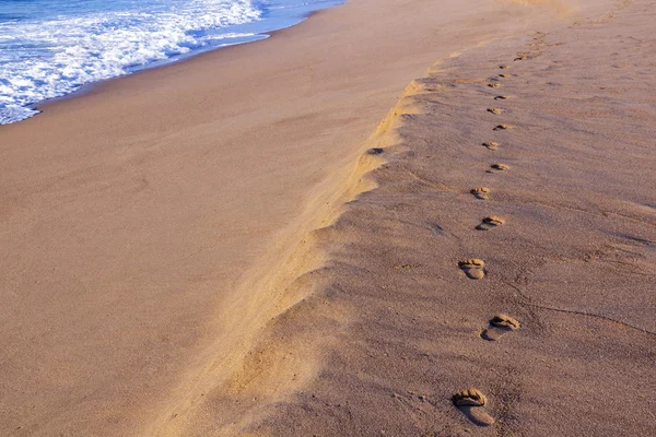 Trilha de pegada de areia na praia vazia ao lado do oceano — Fotografia de Stock
