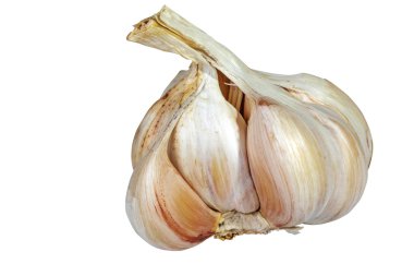 Stüdyo çekim izole organik baş ve diş sarımsak 