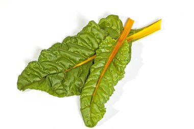  Yeşil yaprakları sarı kök ile Swiss Chard