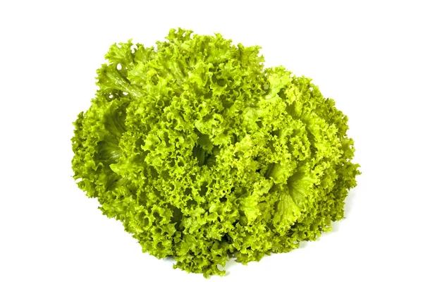 Gröna blad mönster och texturer av sallat växt — Stockfoto