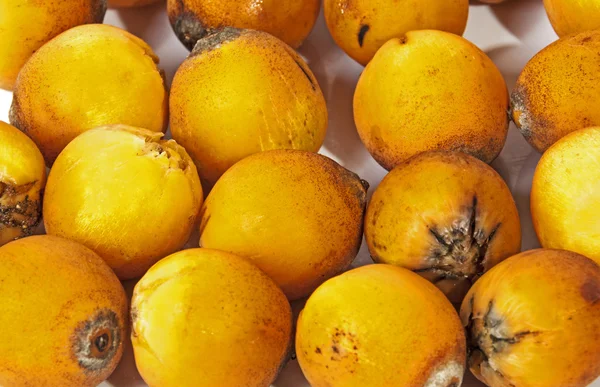 Extremo acercamiento de las fechas de palmeras naranjas maduras naturales — Foto de Stock