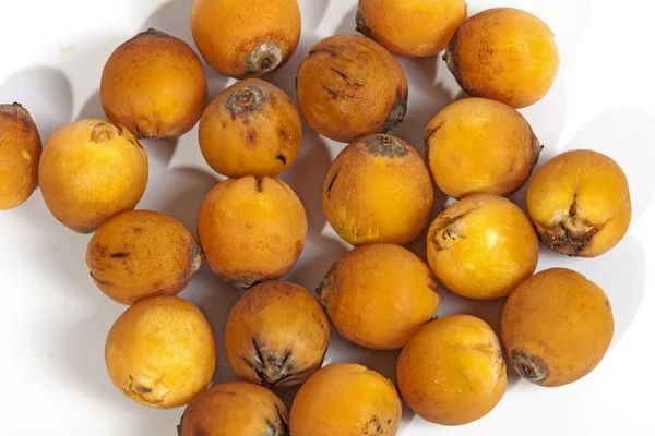 Colección de palmeras naranjas maduras naturales — Foto de Stock