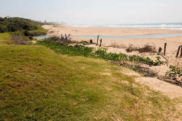 Rivière Jetant Dans Mer Entre Herbe Végétation Dunes Couvertes — Photo