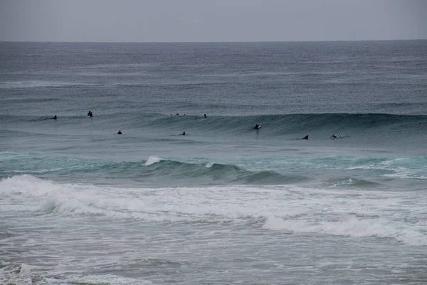 Surfistas Del Océano Temprano Mañana Esperando Ola Correcta —  Fotos de Stock