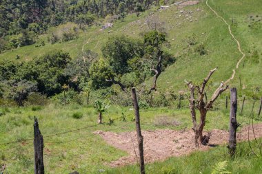 Kwazulu-Natal kırsalında mahsüle hazırlanan naif toprak manzarası