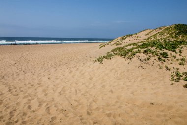 Kumsalda kumdaki ayak izleri geçmiş bitki örtüsüne öncülük ediyor.