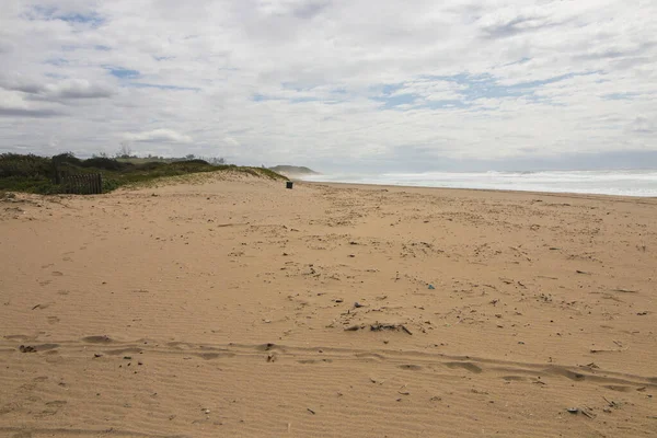 Huellas Pistas Vehículos Que Conducen Través Playa Expansiva — Foto de Stock