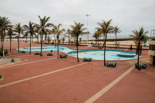 Palm Trees Line Empty Childrens Paddling Pool Durban South Africa — Stock Photo, Image