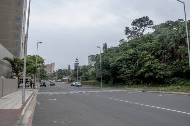 Etrafı yeşilliklerle çevrili binalarla çevrili bir cadde.