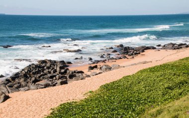 Kıyı şeridinde yeşil kıyı bitkisi olan siyah kayalar.