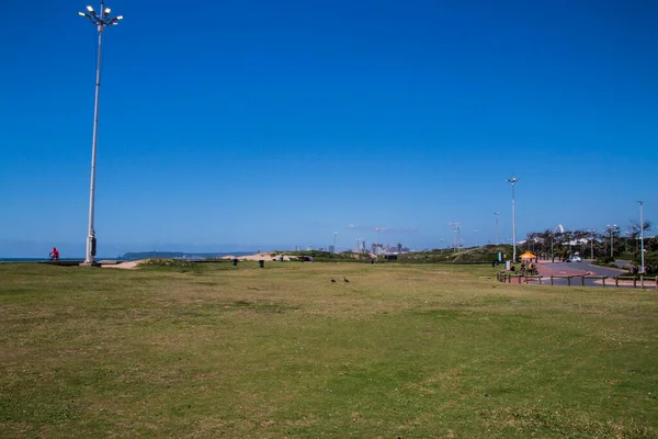 Öppen Sträcka Gräs Som Leder Till Stranden Durban Sydafrika — Stockfoto