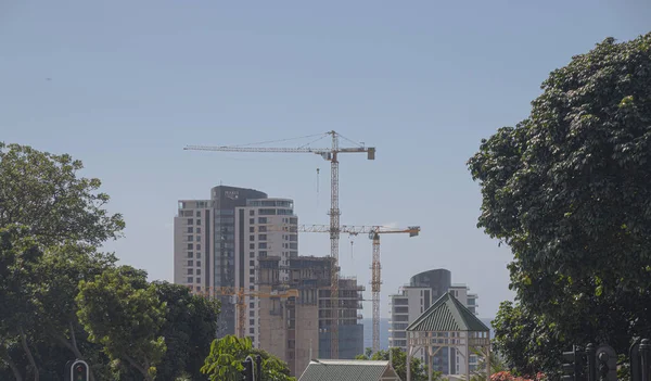 Bouw Van Hoge Gebouwen Met Kranen Door Bomen — Stockfoto