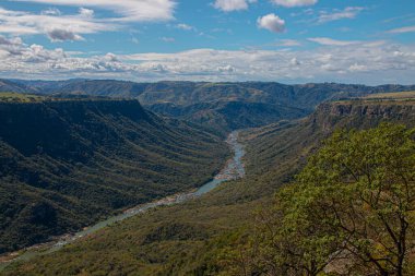 Dik ağaçlar vadisinden akan nehir.