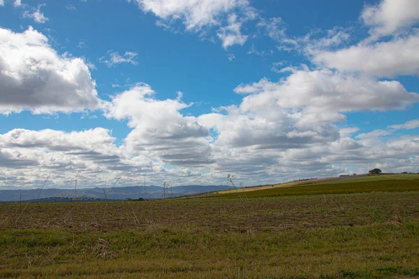 Open Grass Field Cloudy Blue Sky — Stock Photo, Image