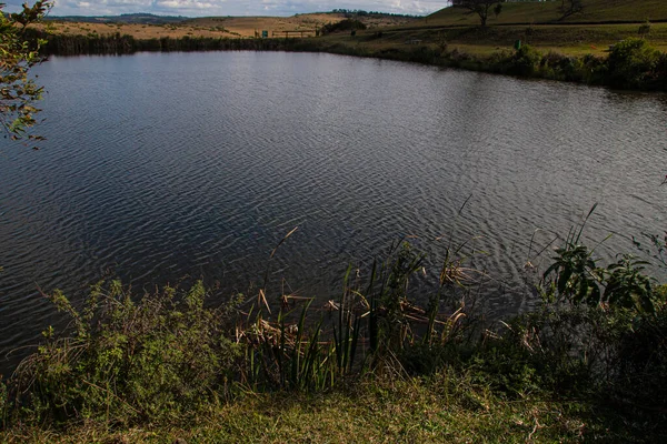 Vlnky Hladině Jezírka Způsobené Vanoucím Větrem — Stock fotografie