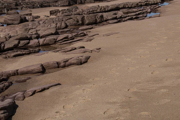 Layers Rocks Beach Low Tide — 스톡 사진